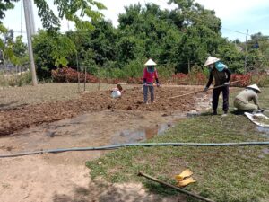 Trước khi trồng bất kỳ loại cỏ sân vườn nào như cỏ nhung Nhật, cỏ lá gừng, cỏ Thái hay cỏ Mỹ, việc chuẩn bị đất đóng vai trò vô cùng quan trọng. Một nền đất được xử lý và cải tạo đúng kỹ thuật sẽ giúp cỏ bén rễ nhanh, phát triển đều, xanh tốt quanh năm