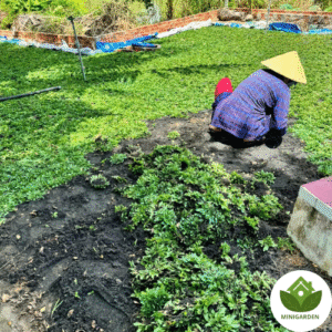 Thiết kế chưa có tên (2)