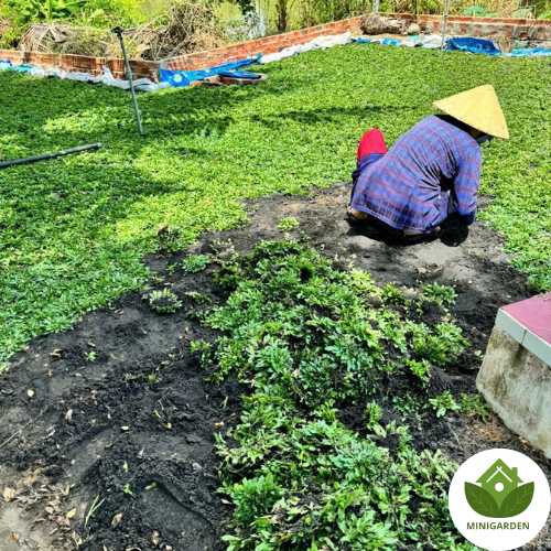 Thiết kế chưa có tên (2)